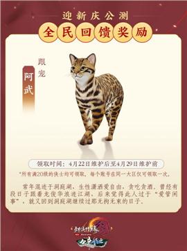 飞飞天龙八部私服